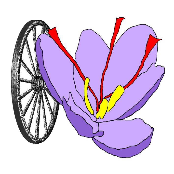 www.safranquercylugagnac.fr